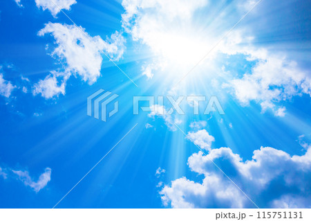真夏の太陽 真夏の太陽 115751131