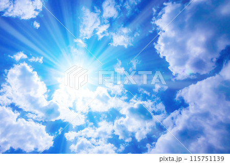 真夏の太陽 115751139