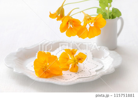 ナスタチウム　エディブルフラワー 115751881