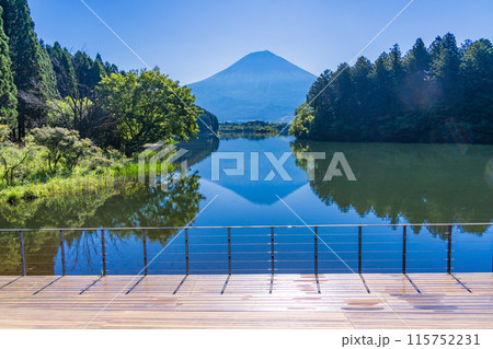 Shizuoka Prefecture] Looking up at Mt. Fuji: - Stock Photo