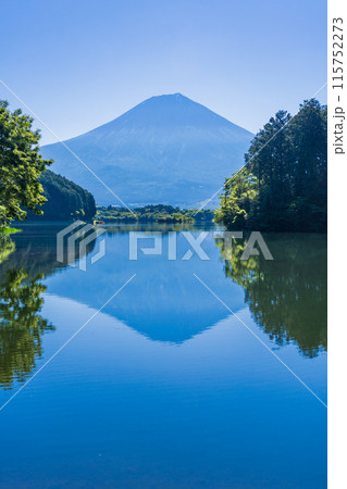 【静岡県】休暇村富士・富岳テラスから富士山見る 【静岡県】休暇村富士・富岳テラスから富士山見る 115752273