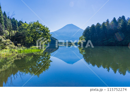 【静岡県】休暇村富士・富岳テラスから富士山見る 【静岡県】休暇村富士・富岳テラスから富士山見る 115752274