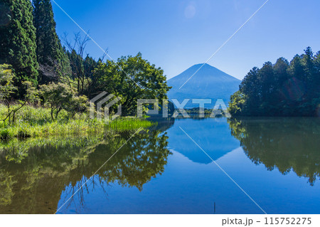 【静岡県】休暇村富士・富岳テラスから富士山見る 115752275