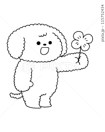 犬・トイプードル／四つ葉のクローバー・線画 115752434