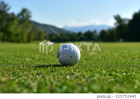 ゴルフコースとゴルフボール 115752445