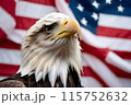 Bald eagle, against the background of the American flag, symbol of the 4th of July Independence Day 115752632