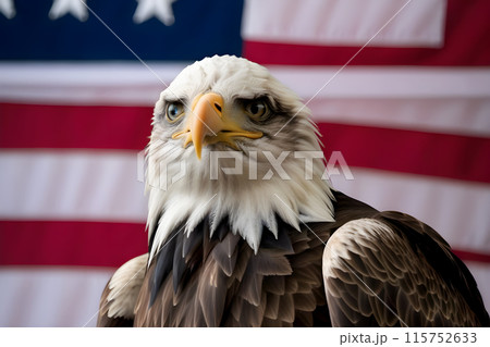 Bald eagle, against the background of the American flag, symbol of the 4th of July Independence Day 115752633