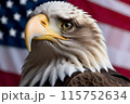 Bald eagle, against the background of the American flag, symbol of the 4th of July Independence Day 115752634