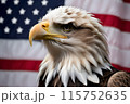 Bald eagle, against the background of the American flag, symbol of the 4th of July Independence Day 115752635