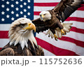 Bald eagle, against the background of the American flag, symbol of the 4th of July Independence Day 115752636