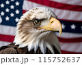 Bald eagle, against the background of the American flag, symbol of the 4th of July Independence Day 115752637