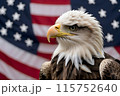 Bald eagle, against the background of the American flag, symbol of the 4th of July Independence Day 115752640