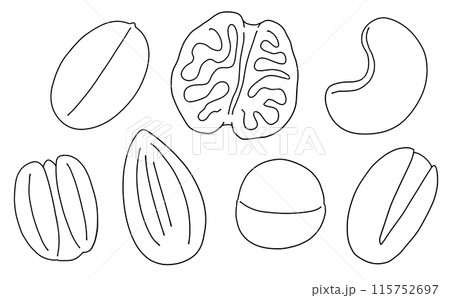 ゆるめシンプルナッツセット 線画 ゆるめシンプルナッツセット 線画 115752697