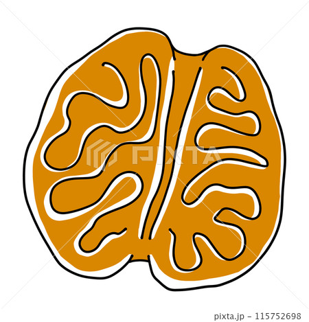 ゆるめシンプルくるみ　ベタ塗り 115752698