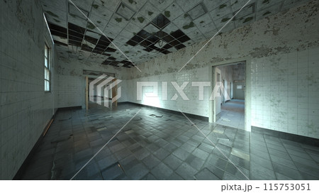 廃墟の荒れた室内 115753051