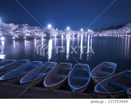 【青森】弘前公園の満開の桜ライトアップ 115753569