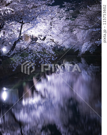 【青森】弘前公園の満開の桜ライトアップと堀のリフレクション 115753602