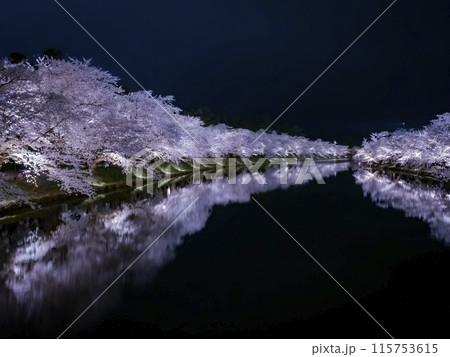 【青森】弘前公園の満開の桜ライトアップと堀のリフレクション 【青森】弘前公園の満開の桜ライトアップと堀のリフレクション 115753615