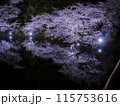 【青森】弘前公園の満開の桜ライトアップと堀のリフレクション 115753616