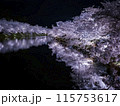【青森】弘前公園の満開の桜ライトアップと堀のリフレクション 115753617