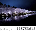【青森】弘前公園の満開の桜ライトアップと堀のリフレクション 115753618