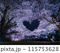 【青森】弘前公園の満開の桜ライトアップと空に浮かぶハートマーク 115753628