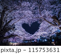 【青森】弘前公園の満開の桜ライトアップと空に浮かぶハートマーク 115753631