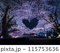 【青森】弘前公園の満開の桜ライトアップと空に浮かぶハートマーク 115753636