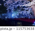 【青森】弘前公園の満開の桜ライトアップ 115753638