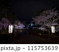 【青森】弘前公園の満開の桜ライトアップ 115753639