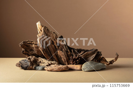 Abstract nature scene with a composition of stones and dry snags. 115753669