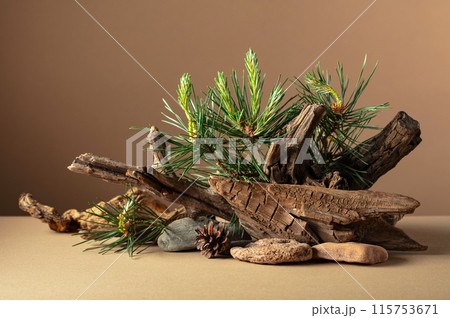 Abstract nature scene with a composition of pine branches, stones, and dry snags. 115753671