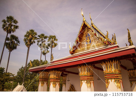 THAILAND AYUTTHAYA WAT SUWAN DARARAM THAILAND AYUTTHAYA WAT SUWAN DARARAM 115753718