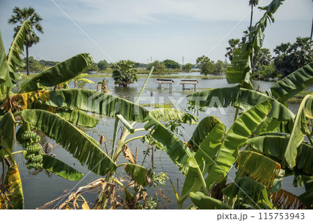 THAILAND AYUTTHAYA WATER FLOODING 115753943