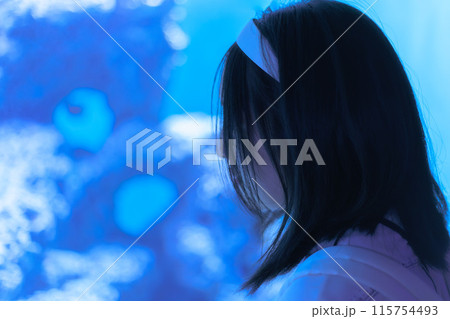 水族館の水槽を眺める女性 水族館の水槽を眺める女性 115754493