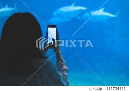 水族館の魚の写真をスマホで撮る女性の後ろ姿 115754531