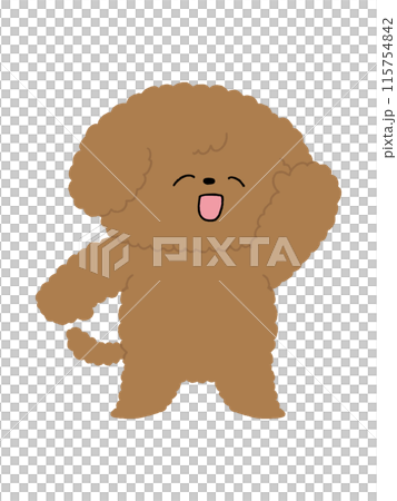 Dog / Toy Poodle / Waving 115754842