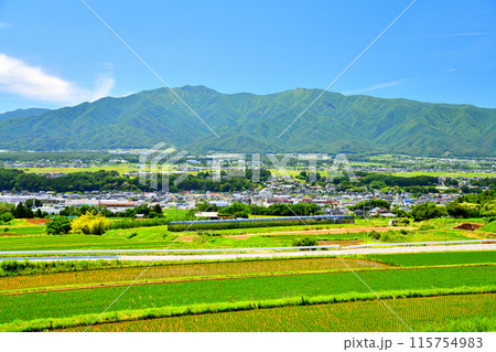 箕輪町より箕輪町三日町、南箕輪村、経ヶ岳方面を望む(長野県箕輪町)【2024.6】 115754983
