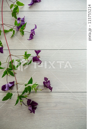 branch of blooming purple clematis, on a light wooden table 115755214