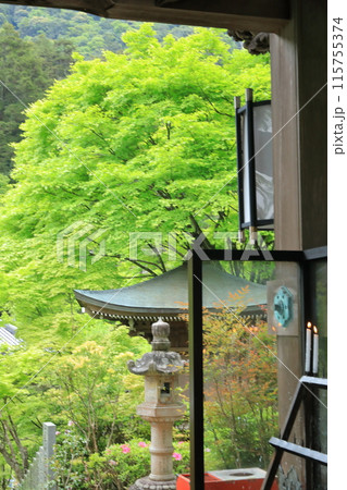蝋燭の灯がともる安芸の宮島大聖院からの新緑の景色 蝋燭の灯がともる安芸の宮島大聖院からの新緑の景色 115755374