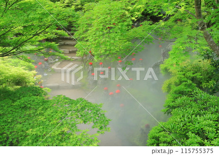 霧に霞む安芸の宮島大聖院の新緑の中の五百羅漢像 霧に霞む安芸の宮島大聖院の新緑の中の五百羅漢像 115755375