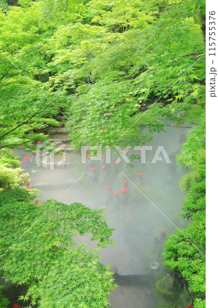 霧に包まれた安芸の宮島大聖院の五百羅漢像の眺め 115755376