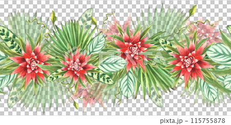 Tropical leaves with red flowers, palm leaf, curly creeper, home plant greenery. Seamless border, pattern Exotic Hawaiian jungle floral clipart Watercolor painted illustration on isolated background  115755878
