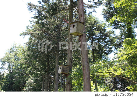 いわむらかずお絵本の丘美術館 いわむらかずお絵本の丘美術館 115756054