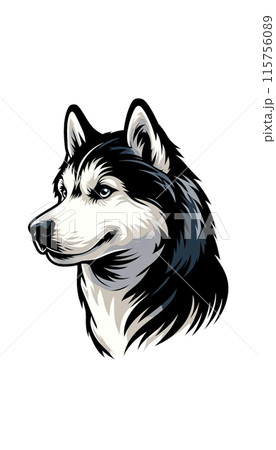 ロシアのシベリアン・ハスキーのカラー画像。高い持久力と活力を持つそり犬。 115756089