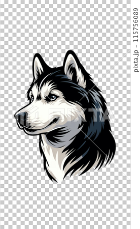 ロシアのシベリアン・ハスキーのカラー画像。高い持久力と活力を持つそり犬。 115756089