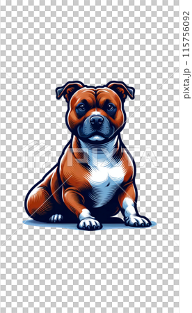 英國斯塔福郡鬥牛梗的彩色影像。強大而友善，它們是優秀的家庭犬。 115756092