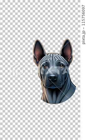 來自泰國的泰國脊背犬的彩色影像。它的背部有獨特的毛髮脊。藏獒, 西藏, 大型 來自泰國的泰國脊背犬的彩色影像。它的背部有獨特的毛髮脊。藏獒, 西藏, 大型 115756097