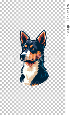 オーストラリアのオーストラリアン・ケルピーのカラー画像。優れた牧羊能力を持つ活発な犬種。 オーストラリアのオーストラリアン・ケルピーのカラー画像。優れた牧羊能力を持つ活発な犬種。 115756120