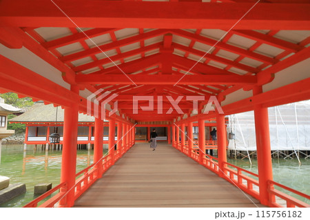 安芸の宮島の厳島神社の本殿内を見学する女性 安芸の宮島の厳島神社の本殿内を見学する女性 115756182